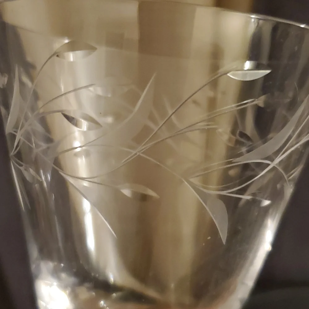 Fostoria Bridal Wreath Water Goblet